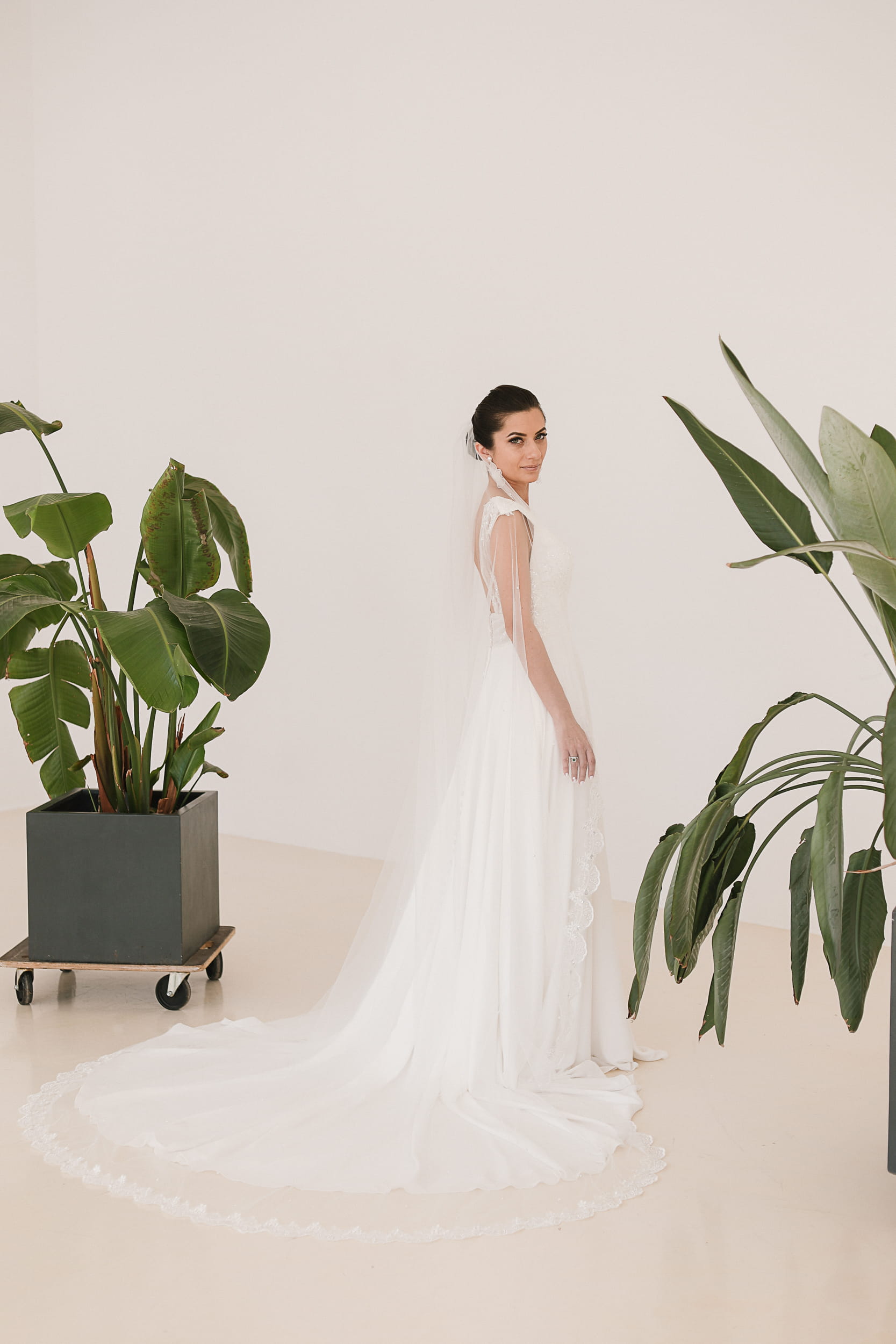 Valentina - Lace and Pearls Wedding Veil - Image 3