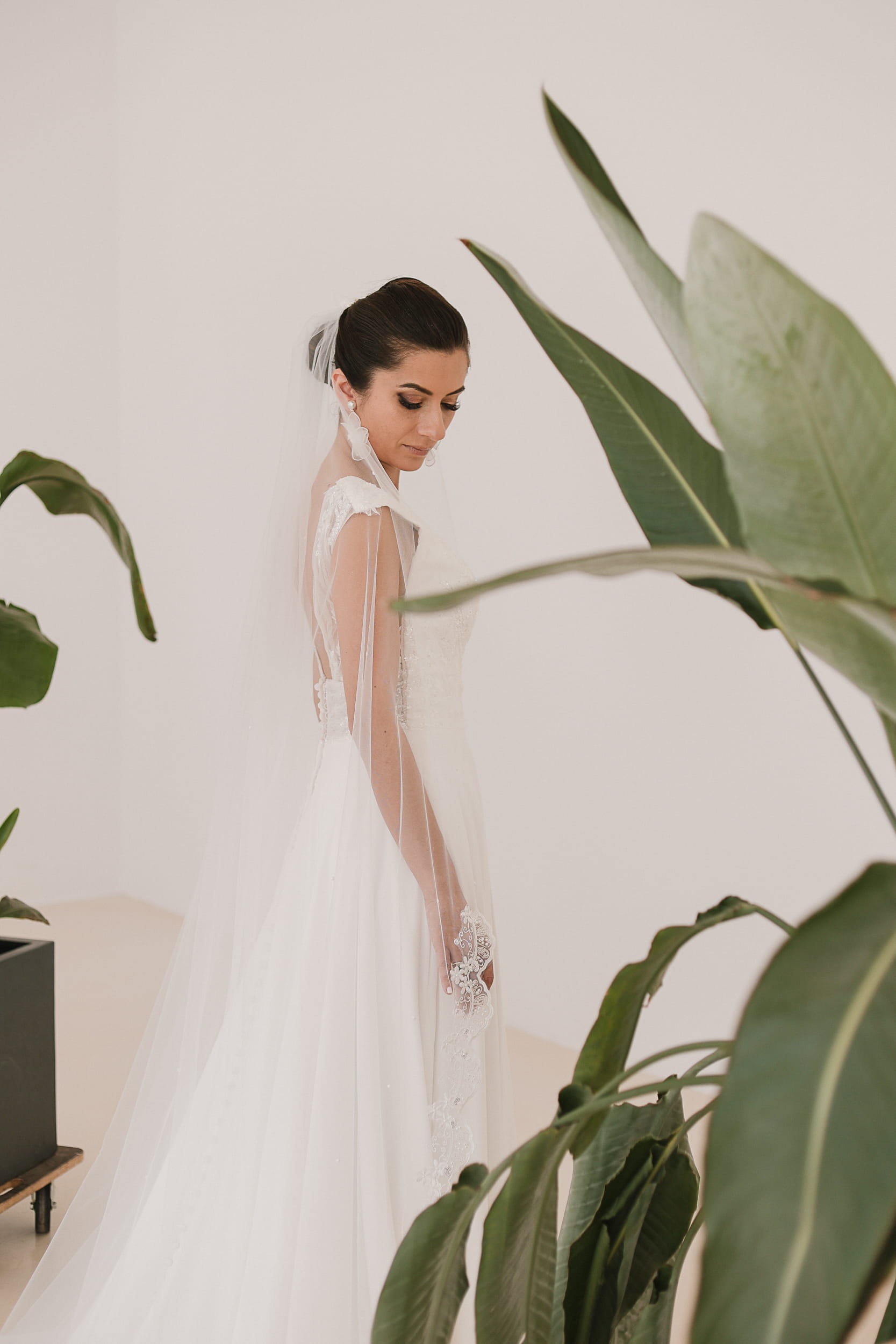 Valentina - Lace and Pearls Wedding Veil - Image 4