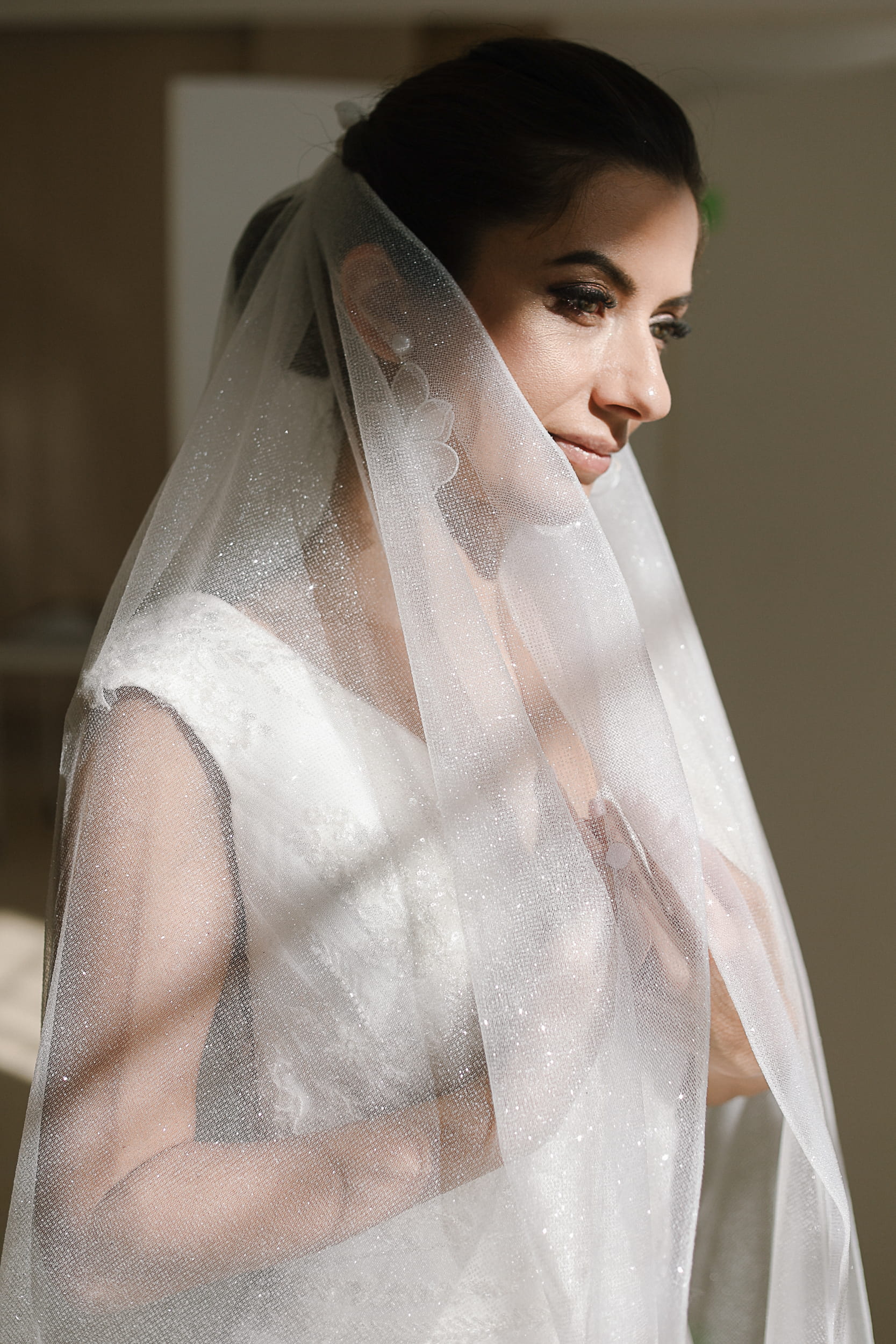 Eveline - Very Glittery Wedding Veil